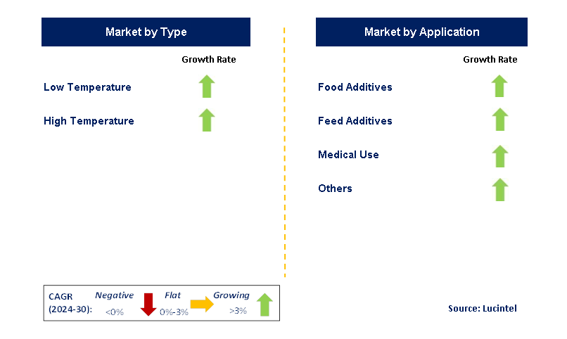 Thermoplastic Composite Pipe (TCP) by Segment